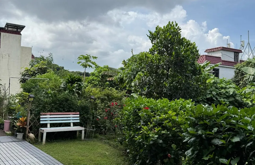 City Oasis Guesthouse-1