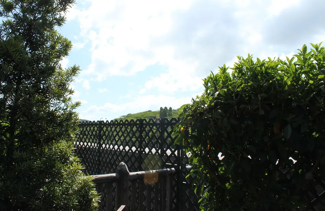 Noah'S Ark Hotel & Resort-1