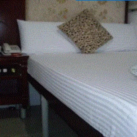 Canadian Hostel-2